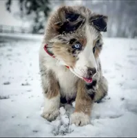 processed/16674256-4aaa-4867-8940-51277a53f151/facility/b4fbf822-5a7f-440f-89c6-55dde99a40ad