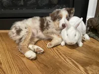 processed/16674256-4aaa-4867-8940-51277a53f151/facility/bb79d317-cb11-456d-841b-29b521077b09