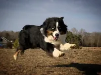 processed/16674256-4aaa-4867-8940-51277a53f151/facility/ed7a7fd9-0674-4f0c-ba64-b4eb4387f237