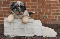 processed/16674256-4aaa-4867-8940-51277a53f151/listing/1de58467-289b-43b3-8c45-d7c6266815f7/662cef43-0805-4185-9896-b49f2ca353a1