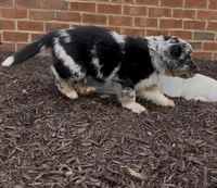 processed/16674256-4aaa-4867-8940-51277a53f151/listing/1de58467-289b-43b3-8c45-d7c6266815f7/89ceb7c7-e49c-4dbf-b487-fbae060ea647