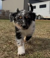 processed/16674256-4aaa-4867-8940-51277a53f151/listing/1de58467-289b-43b3-8c45-d7c6266815f7/cdca1178-5a47-4f40-b21b-c9acda3e4682