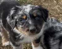 processed/16674256-4aaa-4867-8940-51277a53f151/listing/1de58467-289b-43b3-8c45-d7c6266815f7/eb89b955-2d63-4cf2-b4bf-93cbf160457e