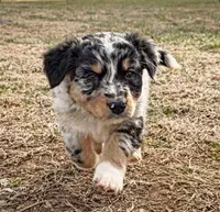 processed/16674256-4aaa-4867-8940-51277a53f151/listing/453b95f6-1f3f-408a-8b5e-e8b61d248d8b/3d922cbf-db7e-454a-b8f2-6fc4d034cc66