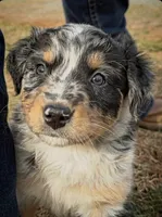 processed/16674256-4aaa-4867-8940-51277a53f151/listing/453b95f6-1f3f-408a-8b5e-e8b61d248d8b/9d980256-f4e9-4b12-80f1-9f2dce23a337