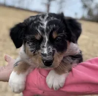 processed/16674256-4aaa-4867-8940-51277a53f151/listing/453b95f6-1f3f-408a-8b5e-e8b61d248d8b/a1c18a4a-5cd9-433d-932f-9fa3db363594