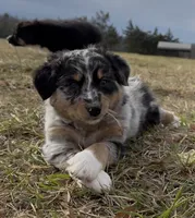 processed/16674256-4aaa-4867-8940-51277a53f151/listing/453b95f6-1f3f-408a-8b5e-e8b61d248d8b/b7d776e9-940b-42fd-9ae6-7c0a8da585d5