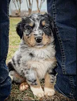 processed/16674256-4aaa-4867-8940-51277a53f151/listing/453b95f6-1f3f-408a-8b5e-e8b61d248d8b/e59ad025-b18e-4eed-a881-abe02d825ce2