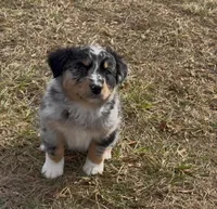 processed/16674256-4aaa-4867-8940-51277a53f151/listing/453b95f6-1f3f-408a-8b5e-e8b61d248d8b/ebb1eca2-8788-40c6-a6e8-021b01f7818f