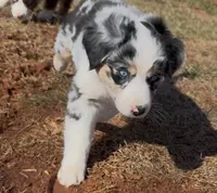 processed/16674256-4aaa-4867-8940-51277a53f151/listing/54730fa6-7f6a-4f66-8813-a0fed05a4b6e/5fb72347-dcd5-49fb-97b8-95635e412448