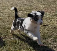 processed/16674256-4aaa-4867-8940-51277a53f151/listing/54730fa6-7f6a-4f66-8813-a0fed05a4b6e/88284d2b-cf5d-42c5-844d-8f98464ac9e0