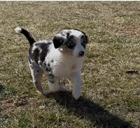 processed/16674256-4aaa-4867-8940-51277a53f151/listing/54730fa6-7f6a-4f66-8813-a0fed05a4b6e/f9b68df2-29bc-40af-8abe-d7c73a746d17