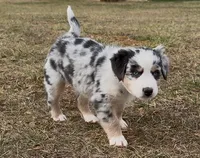 processed/16674256-4aaa-4867-8940-51277a53f151/listing/ffc9ae17-889a-4868-8fcb-1064093e48dc/231ae3b1-6883-4983-a11d-624589ba4a6b