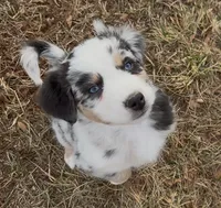 processed/16674256-4aaa-4867-8940-51277a53f151/listing/ffc9ae17-889a-4868-8fcb-1064093e48dc/87b763e4-bba0-4761-8535-f70079ed0a6c