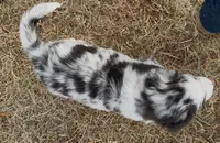 processed/16674256-4aaa-4867-8940-51277a53f151/listing/ffc9ae17-889a-4868-8fcb-1064093e48dc/a6bd3caa-12ae-4b2f-a090-49e2d97354fb