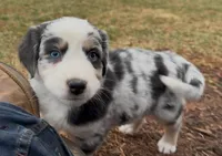 processed/16674256-4aaa-4867-8940-51277a53f151/listing/ffc9ae17-889a-4868-8fcb-1064093e48dc/afaf9ed5-e530-49c3-a974-33823f46a960