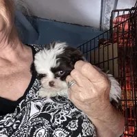 processed/16699d8b-3cc9-469d-97ae-16dd368109d2/facility/0041d929-71e5-4b94-b3a0-3a2ba5043395