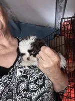 processed/16699d8b-3cc9-469d-97ae-16dd368109d2/facility/0041d929-71e5-4b94-b3a0-3a2ba5043395