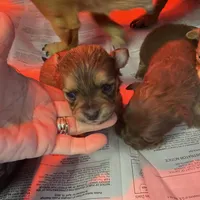 processed/16699d8b-3cc9-469d-97ae-16dd368109d2/facility/1f61118c-cc95-47a0-ad7d-71c24f30c7c4