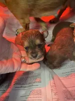 processed/16699d8b-3cc9-469d-97ae-16dd368109d2/facility/1f61118c-cc95-47a0-ad7d-71c24f30c7c4