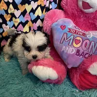 processed/16699d8b-3cc9-469d-97ae-16dd368109d2/facility/29ce7fd9-182e-402a-b676-bf695d7de872