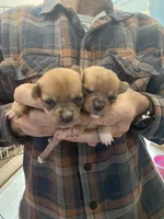 processed/16699d8b-3cc9-469d-97ae-16dd368109d2/facility/2d72a464-ddef-4ca0-bc68-33efa6e934b8