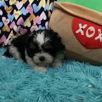 processed/16699d8b-3cc9-469d-97ae-16dd368109d2/facility/32c69f51-a1b9-4e16-9f4c-a9b12d3658b8