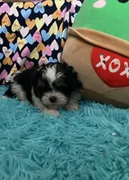 processed/16699d8b-3cc9-469d-97ae-16dd368109d2/facility/32c69f51-a1b9-4e16-9f4c-a9b12d3658b8