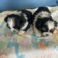 processed/16699d8b-3cc9-469d-97ae-16dd368109d2/facility/5f1d41d7-bd23-4b84-9b70-7d03dca36936