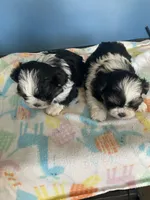 processed/16699d8b-3cc9-469d-97ae-16dd368109d2/facility/5f1d41d7-bd23-4b84-9b70-7d03dca36936