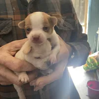 processed/16699d8b-3cc9-469d-97ae-16dd368109d2/facility/6e647b72-3b32-49fa-b4b0-ac174d860097