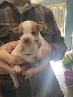 processed/16699d8b-3cc9-469d-97ae-16dd368109d2/facility/6e647b72-3b32-49fa-b4b0-ac174d860097