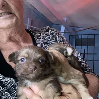 processed/16699d8b-3cc9-469d-97ae-16dd368109d2/facility/81459b59-47fa-4314-b534-7eefee1b20d5