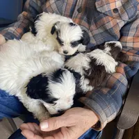 processed/16699d8b-3cc9-469d-97ae-16dd368109d2/facility/9079cf5d-75f9-4a1d-993c-0bc5d168ce62