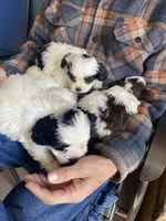 processed/16699d8b-3cc9-469d-97ae-16dd368109d2/facility/9079cf5d-75f9-4a1d-993c-0bc5d168ce62