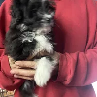 processed/16699d8b-3cc9-469d-97ae-16dd368109d2/facility/a60e87c0-ae62-4057-b204-722ff4a59707