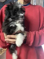 processed/16699d8b-3cc9-469d-97ae-16dd368109d2/facility/a60e87c0-ae62-4057-b204-722ff4a59707