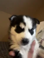 processed/1669a764-a033-4f50-9af6-08dcc07fee6b/listing/973dd34b-c2ec-49d1-a984-8757fb233587/244b56a7-a9de-4895-8bdc-6a7876d4d370