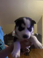 processed/1669a764-a033-4f50-9af6-08dcc07fee6b/listing/973dd34b-c2ec-49d1-a984-8757fb233587/390e70c9-2b7e-4d05-9be4-074ed88459f8