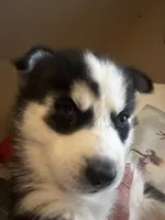 processed/1669a764-a033-4f50-9af6-08dcc07fee6b/listing/973dd34b-c2ec-49d1-a984-8757fb233587/3dc775ec-9794-4394-a667-30ba7254358d