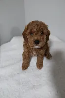 processed/16707b0f-06c3-47d1-a715-cca4602c7a44/listing/22797c17-665b-4f49-b29e-87342525b401/36b9cf12-b7f9-4901-bd41-bfac2b166a34