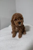 processed/16707b0f-06c3-47d1-a715-cca4602c7a44/listing/22797c17-665b-4f49-b29e-87342525b401/6949065e-616c-44dc-b803-6a42b0abc0ca