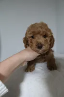 processed/16707b0f-06c3-47d1-a715-cca4602c7a44/listing/ee16a625-0afb-40a4-ae30-191a386fce4c/f66e6d56-7693-4c3d-94d4-766c886cba67