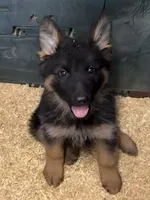 processed/1679f1bd-f900-4210-b17f-0c1200e81f34/listing/7bca6f47-9903-4e43-8f52-1a746f47267c/0aa35fa6-51ee-42f9-9a56-32b06f25c2a0