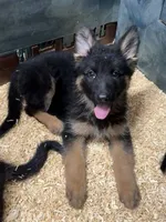 processed/1679f1bd-f900-4210-b17f-0c1200e81f34/listing/7bca6f47-9903-4e43-8f52-1a746f47267c/5422dd3a-42a4-430a-a2fa-98d4cc38985e