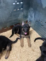 processed/1679f1bd-f900-4210-b17f-0c1200e81f34/listing/7bca6f47-9903-4e43-8f52-1a746f47267c/95378ff3-ad9c-4738-8b81-17a97c38b086