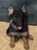 processed/1679f1bd-f900-4210-b17f-0c1200e81f34/listing/7bca6f47-9903-4e43-8f52-1a746f47267c/f4e51b8c-891c-43de-95eb-47eb3b966f3f