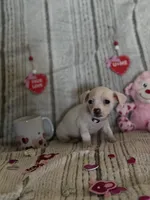 processed/16839c5f-59b6-417d-9e15-d33116ce9a2c/listing/f0883c30-349d-427e-9919-76bdfe40b820/5c7ca7d5-a23b-4355-8375-b34bde8b3132