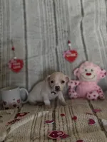 processed/16839c5f-59b6-417d-9e15-d33116ce9a2c/listing/f0883c30-349d-427e-9919-76bdfe40b820/fa938ce0-00c6-45c2-8166-6ea55c346129