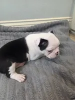 processed/16854be4-01dd-49e9-acc4-3332f1a6daef/listing/9b1a1ca2-c0e6-4617-9d69-cc04f7ba1f95/dbac01bb-d638-40da-853f-9e1c2e0edf43